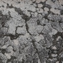 Opulence Collection 714