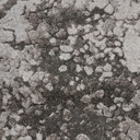 Opulence Collection 714