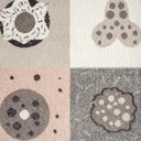 Smartkidz Collection 4783